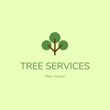 Tree Services Affordable Cost